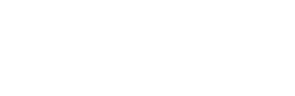 Dive Lyon - PRO