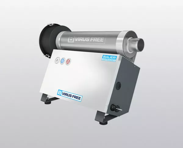 B-VIRUS FREE BAUER - Image 2